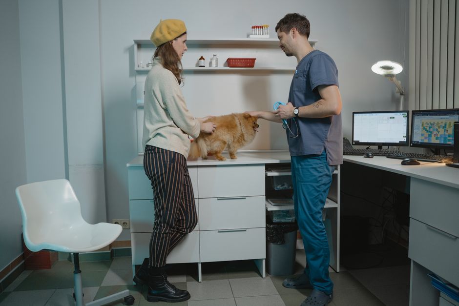 Woman and veterinarian discussing care for a Pomeranian dog in a modern clinic.